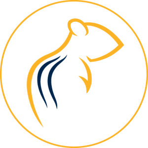 Chipmunkcircleicon